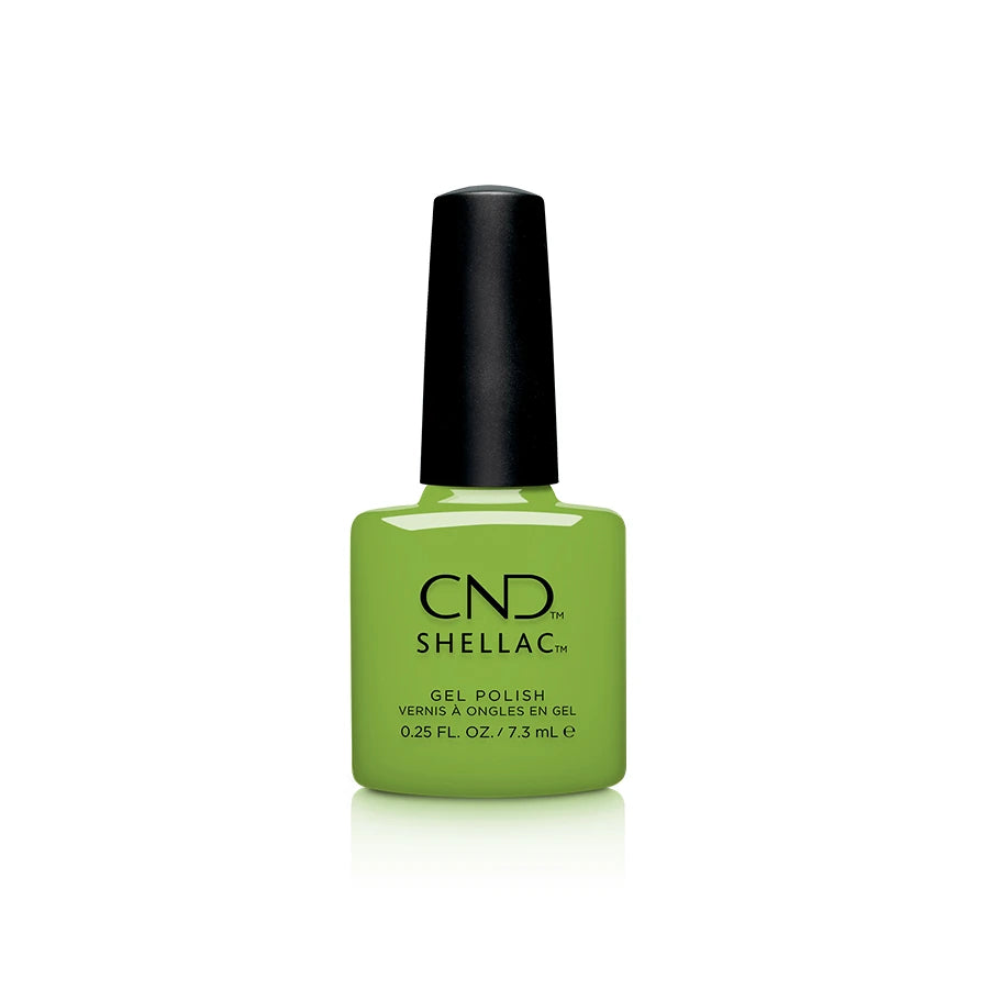 PRO CND SHELLAC - палитра 12